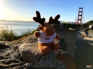 BruceTheMoose